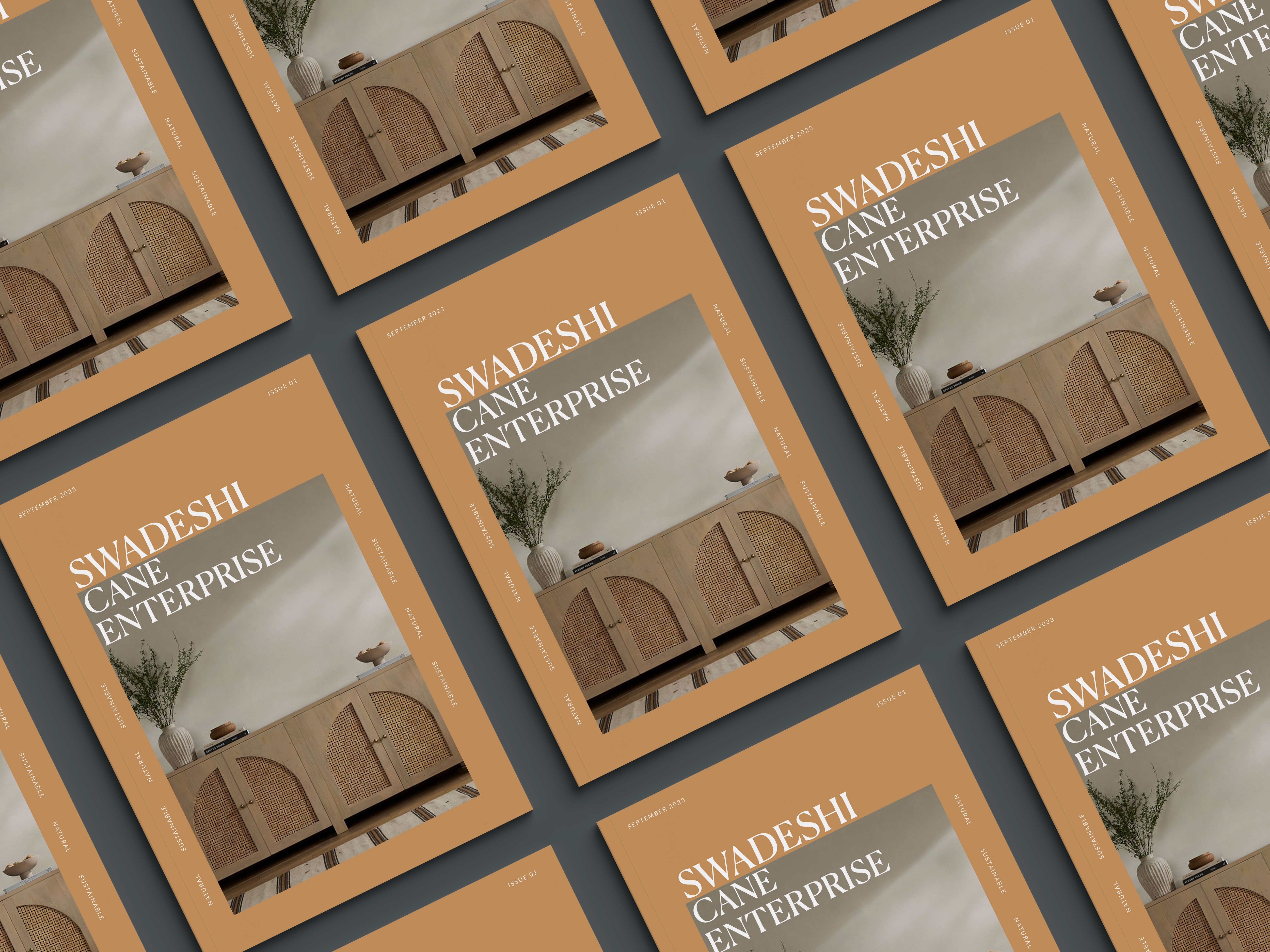 Swadeshi Cane Brochure